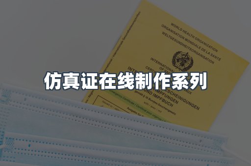 仿真证在线制作